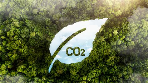 La decarbonizzazione non è solo un fatto europeo Cosa fanno gli altri