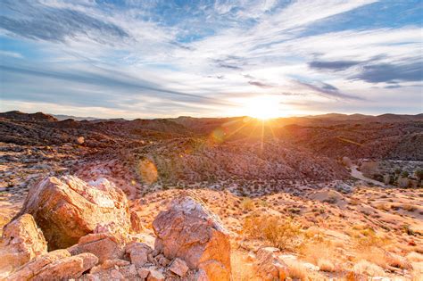 Summer In Joshua Tree Helpful Guide Video More Than Just Parks