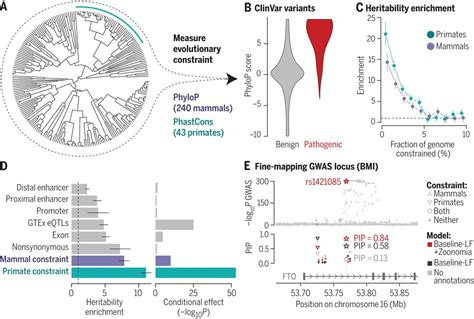 Science Magazine On Twitter A New Science Study Of Patients With