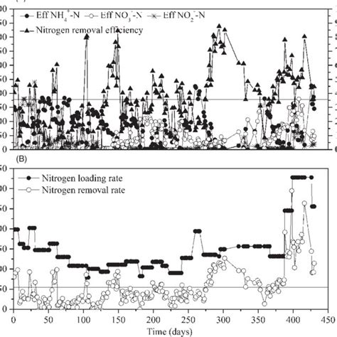 Ammonium Nitrate And Nitrite Effluent Concentrations And Nitrogen