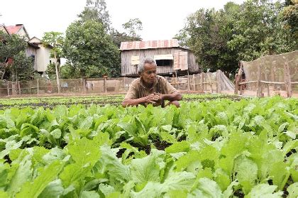 From Subsistence To Success A Fruitful Farming Model Khmer Organic