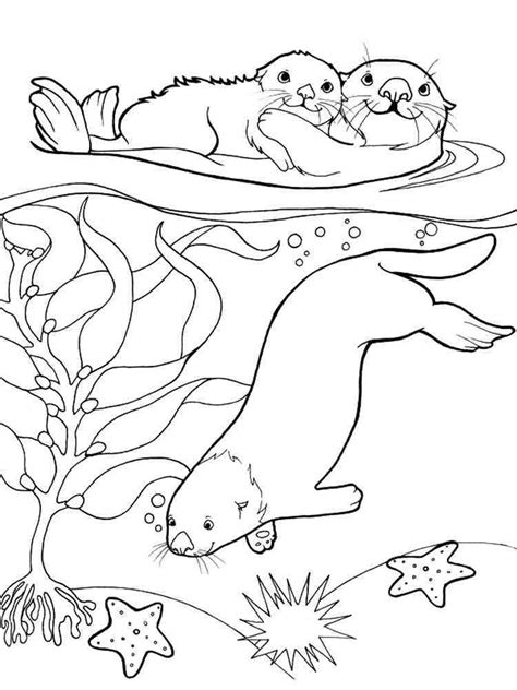 Otter coloring pages