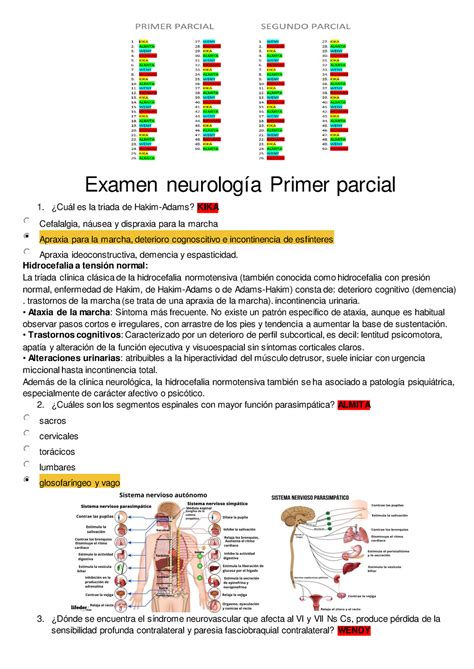 Examen Neuro Generalidades Y Mas Contenido Examen Neurolog A Primer