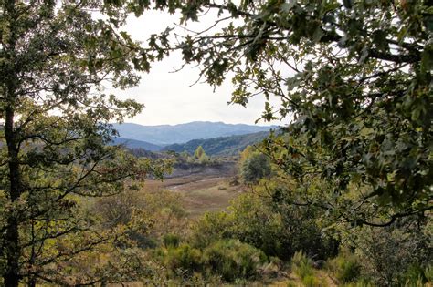 Viajar Sentir Y Conocer Berrea En La Monta A Palentina Espa A