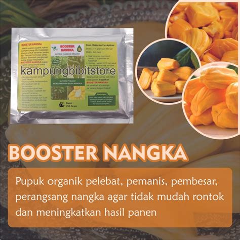 Jual Pupuk Organik Pelebat Buah Dan Booster Nangka Cepat Berbuah Lebat