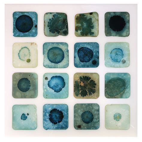 Untitled — Tal Danino Art