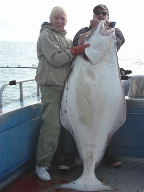 Homer Alaska Halibut Fishing - Homer Alaska Fishing Charters