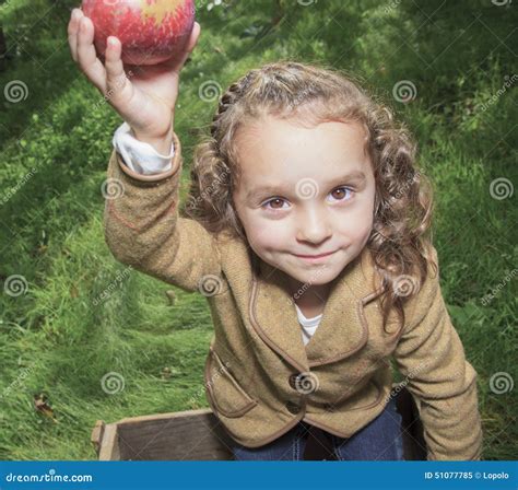 Menina Pequena Bonito Da Criança Em Idade Pré escolar Que Guarda a Maçã