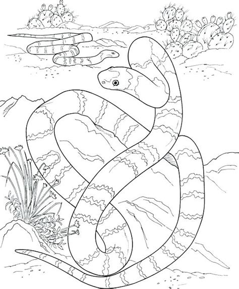 Diamondback Rattlesnake Coloring Page At Getdrawings Free Download