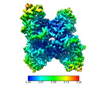 FEI Titan Krios University Of Wollongong UOW