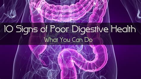 10 Signs of Poor Digestive Health – What You Can Do