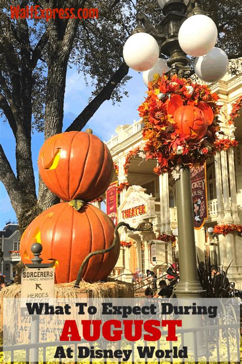 What To Expect In Disney World During The Month Of August