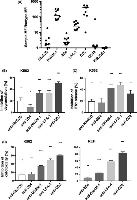 Natural Killer Nk Cell‐activating Receptors Contribute To Invariant