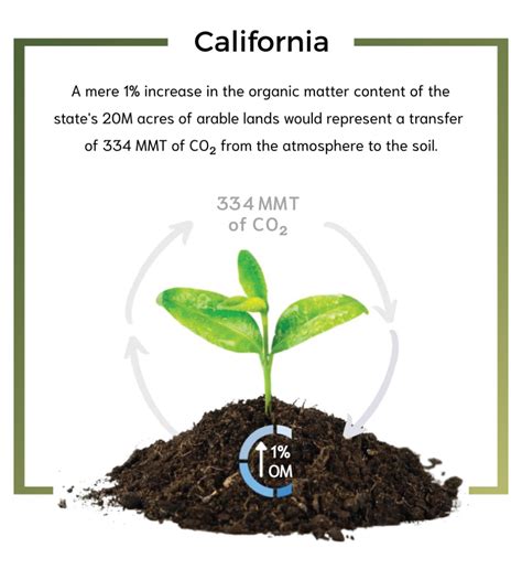 Climate Action Planning Carbon Cycle Institute