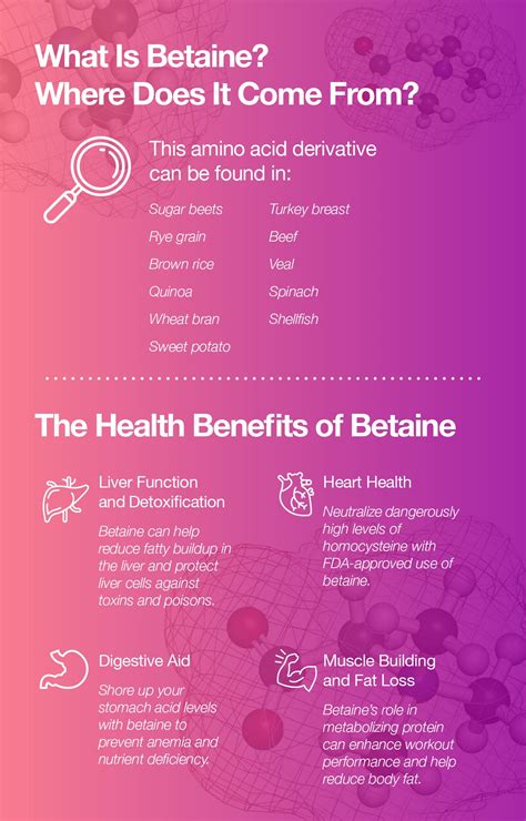 Betaine Sources Uses And Health Benefits The Amino Company