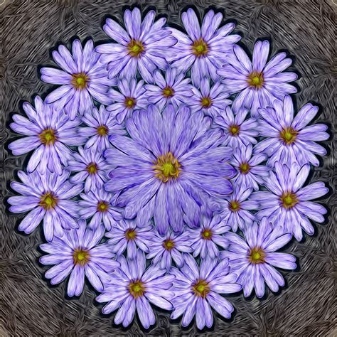 Anemone flower pattern by muffinn2 on DeviantArt