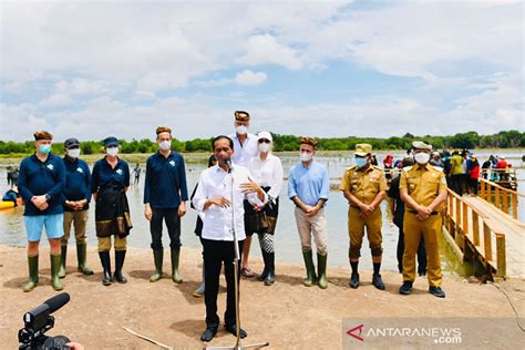 Presiden Jokowi Targetkan Rehabilitasi Ribu Hektare Hutan Mangrove