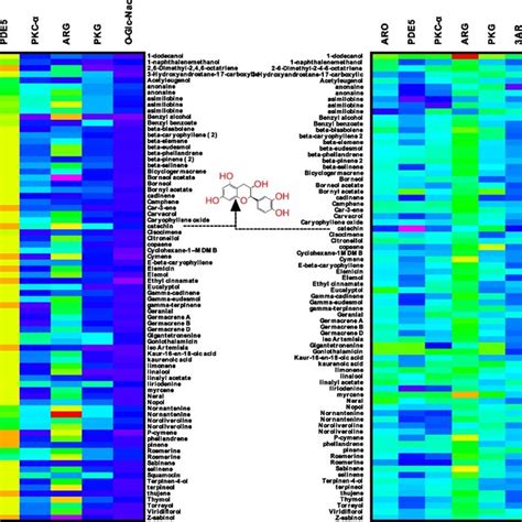 Heat Maps Showing Molecular Docking Result Right Of A Senegalensis Download Scientific