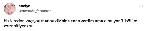 Ok Konu Ulacak Netflix Dizisi Biz Kimden Ka Yorduk Anne Yi