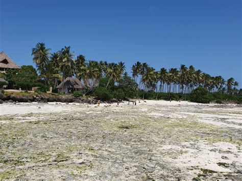 Strand Reef And Beach Resort Makunduchi • Holidaycheck Zanzibar