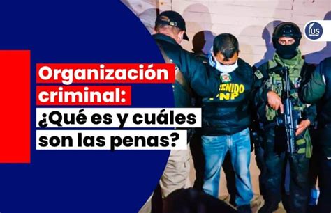 Organizaci N Criminal Qu Es Y Cu Les Son Las Penas Ius Latin