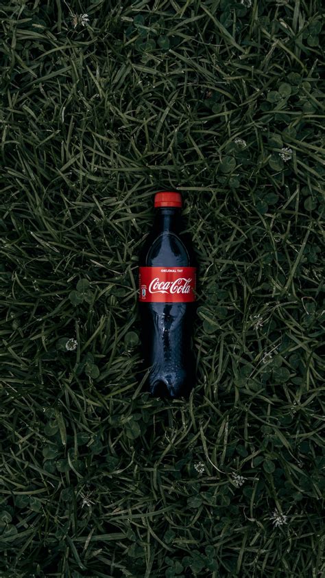 Coca Cola Soda Bottle On Grass Photo Free Coke Image On Unsplash