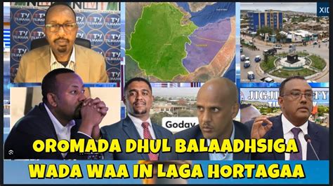 WARAYSI MOHAMED OROMO OO DHUL RAADIS AH AYAA KA KHATAR BADAN AMXARADA