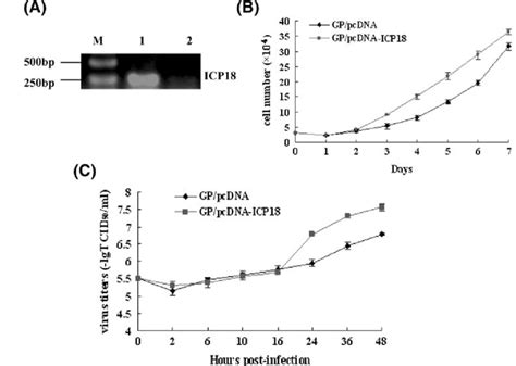 Effects Of Sgiv Icp18 Expression On Gp Cell Proliferation And Sgiv