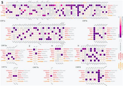 Lineage Comparison Between Omicron And Other Global Variants Of Download Scientific Diagram