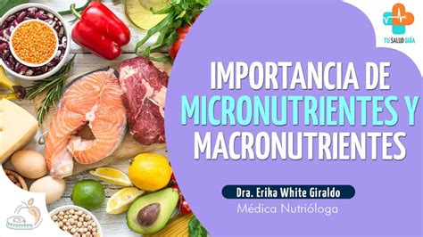 Importancia De Los Macronutrientes Y Micronutrientes Tu Salud Gu A