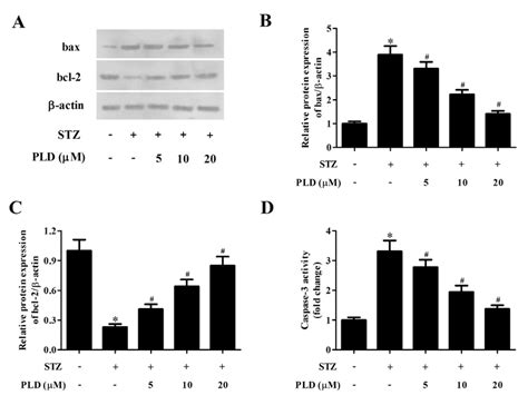 Pld Inhibited Cell Apoptosis In Stz Induced Ins 1 Cells Ins 1 Cells