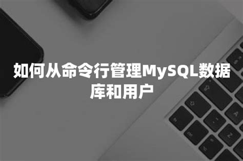 如何从命令行管理mysql数据库和用户 Pingcap 平凯星辰