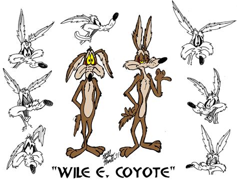 Wile E Coyote wallpapers, Cartoon, HQ Wile E Coyote pictures | 4K ...