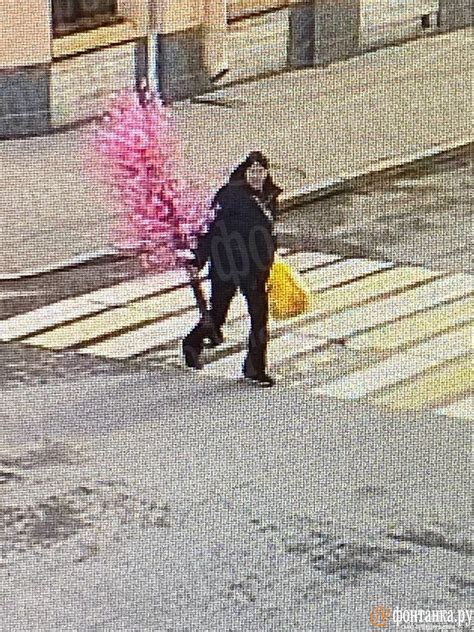 Фонтанка. Новости on Twitter: "Самурай повернул не туда. В Петербурге ...