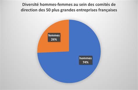 Diversit Des Comit S De Direction Du Top Des Entreprises Fran Aises