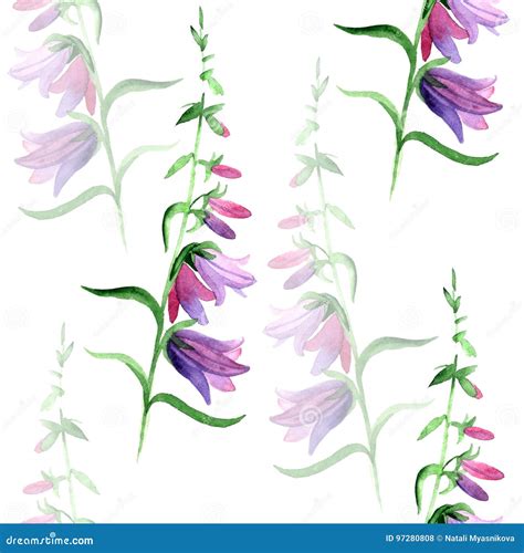 Watercolor Seamless Pattern With Blue Bluebells Flowers Rustic Floral