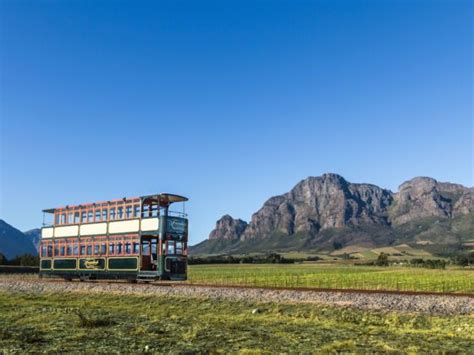 Franschhoek Wine Tram: Tours to Take and the Best Vineyards to Stop At