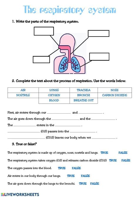 Preschool Worksheets FREE Printable Worksheets Worksheetfun