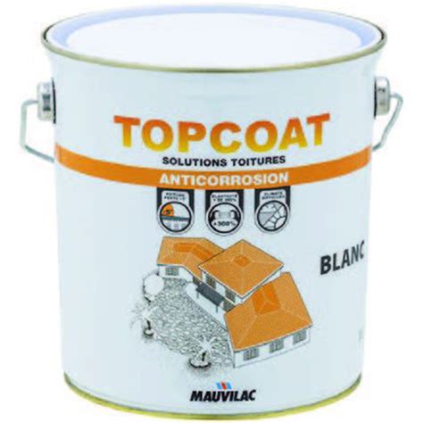 Revêtement étanche élastique pour toitures TopCoat Etancheité 2 5Kg