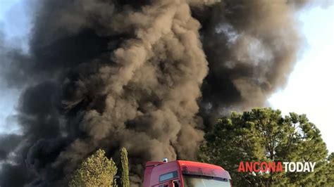 Incendio Alla Tontarelli Le Fiamme Devastano La Ditta