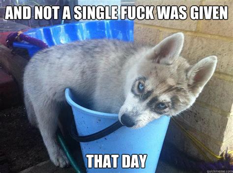 And Not A Single Fuck Was Given That Day Arya In Bucket Quickmeme