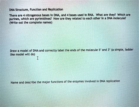 SOLVED: DNA Structure Function and Replication There are 4 nitrogenous ...