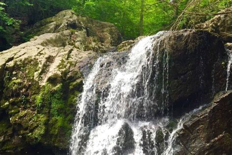 Patapsco Valley State Park: Best Trails & RV Guide