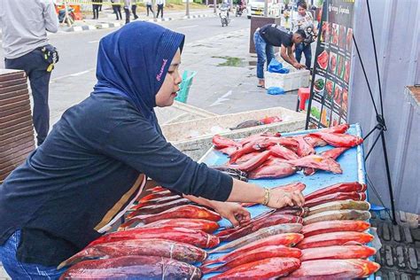 Kementerian Berkah Ktt Ke Asean Pedagang Ikan Labuan Bajo Raih