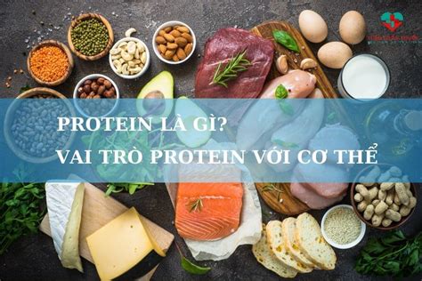 Protein là gì Vai trò của protein với cơ thể và sức khỏe của chúng ta