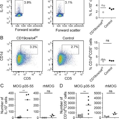 Cns Accumulation Of Regulatory B Cells Breg Is Very Late Antigen