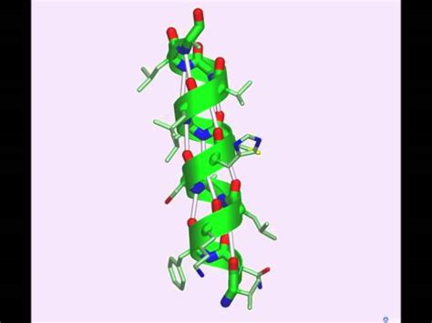 Protein Structure Animation Powerpoint