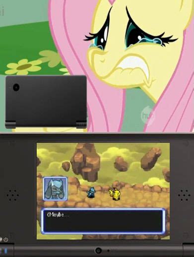 Pokemon Mystery Dungeon Memes Pokémon Amino