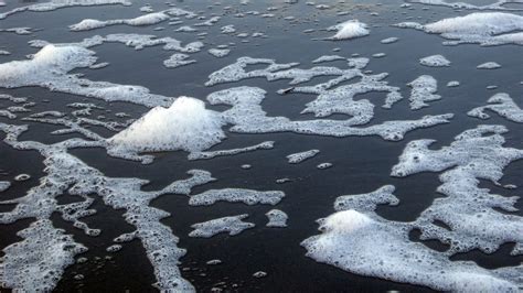 Sea Foam Background Free Stock Photo - Public Domain Pictures