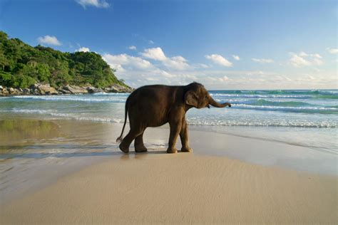 Thailand's Best Beaches